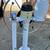 Sailboat Sailing Yacht Specialties Steering Control Wheel Helm 2 thumbnail