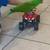 Eclectus 1 thumbnail