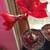 Amaryllis Red Lion Flowering House Plant 2 thumbnail