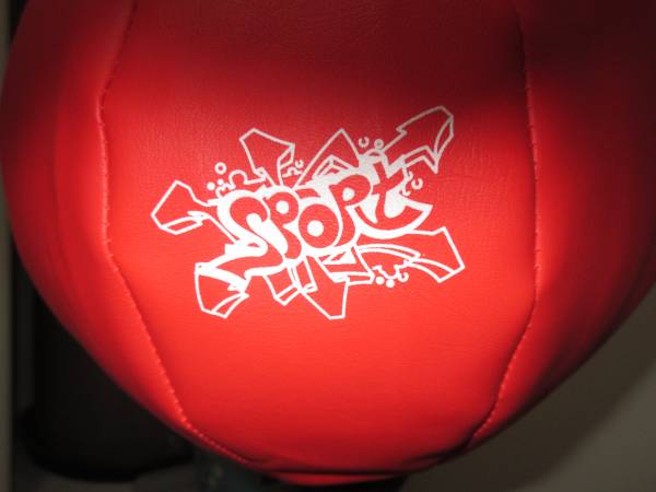 Sport Punching Bag with gloves 1