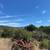 Knoll-Top Orchard Estate Setting In The Corralitos Foothills! 17 thumbnail