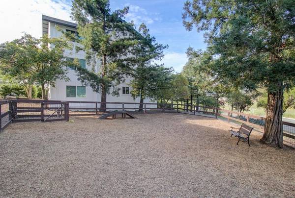 $3,495 / 2br - 982ft2 - Electrodomésticos SS, Piso de Vinilo, Gabinetes Blancos, Encimeras de Cuarzo! (san rafael)63785452861827122
