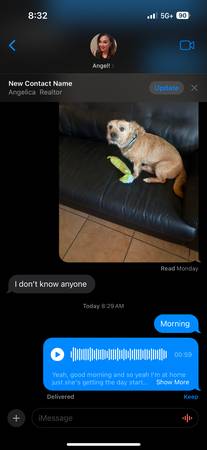 Free older male dog 1