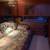 2003 Sharpe Houseboat 16 x80 9 thumbnail
