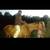 Horseback Riding Lessons 8 thumbnail