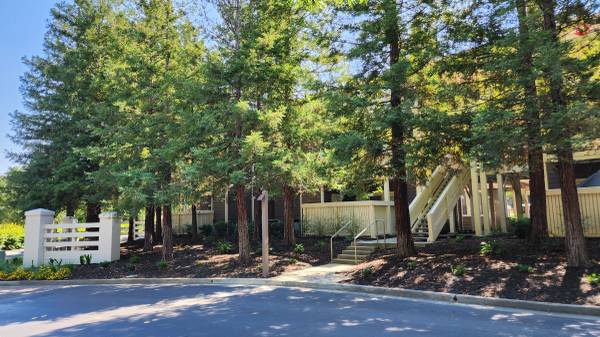 $2,625 / 1br - 785ft2 - ¡Puedes ahorrar $1,500 en unidades seleccionadas en Park Wood, Dublin! (dublin / pleasanton / livermore)63797062508675122