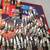 Large lot of new spark plugs 4 thumbnail