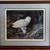 Signed Artist Proof - Terry Doughty "Where did he go" (number 229/600) 1 thumbnail
