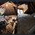 Junk removal & Demolition 21 thumbnail