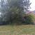 Fall Cleanups Mowing Shrub Trimming & Garden Bed Cleanups! 8 thumbnail
