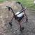 Rollator 1 thumbnail