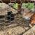 Chickens and coop 1 thumbnail