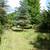 Prime Hunting Property and Cabin 16 thumbnail