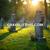 Forest Lawn Cemetery – Updated Private Grave / Funeral Plots Sales 1 thumbnail