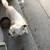 Lost dog 2 thumbnail