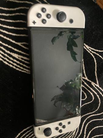 Nintendo Switch&WI 1