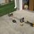 Dewalt 20 Volt string trimmer 1 thumbnail