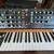 Behringer Poly D 4-Voice Synthesizer 6 thumbnail