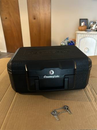 Sentry Safe 1