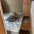 Sunset RV Inc #3569 2015 Koala 15 thumbnail