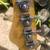 Schecter Diamond-P Plus Dark Vintage Burst 7 thumbnail