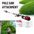 DCK Powerful String Trimmer & Edger - 15-Inch Telescopic Carbon Fiber. 7 thumbnail