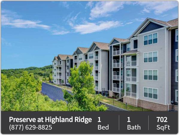 $1,206 / 1hab - 702ft2 - ¡Hermoso de 1 habitación / 1 baño en un excelente vecindario! ¡Listo para ver ahora! (Nashville)63924810784771120