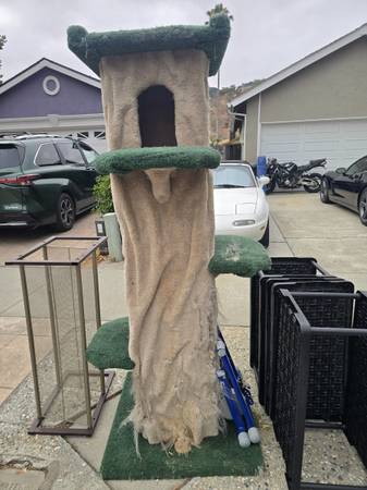 FREE Cat Tree 1