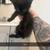 Kittens 2 thumbnail