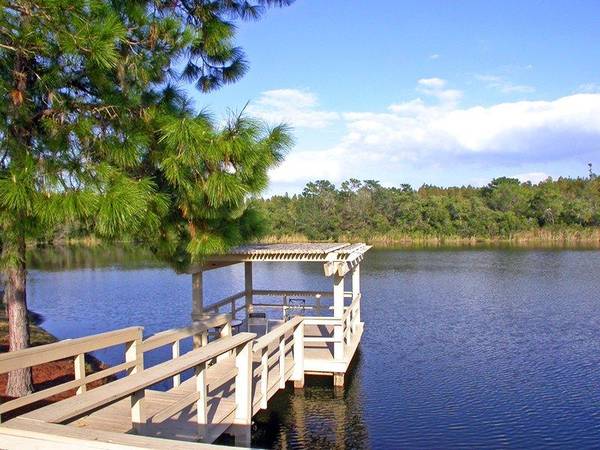 $1,194 / 1br - 600ft2 - 1 Bedroom SPECIAL!!! Ground Floor (Carrollwood)63980539466498123