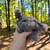 Silkies 1 thumbnail