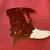 Telecaster Pickguard 1 thumbnail