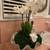 Real Orchid Flower Arrangement 5 thumbnail