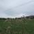 3+ Acre, Cleared/Level/Rolling Grasslands, Mt & Lake views, 2 rds. 1 thumbnail