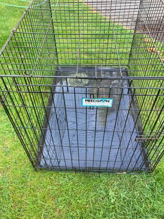 Large Dog Crate. 1