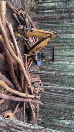 Madrone firewood 1