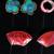 LOT OF VINTAGE COSTUME EARRINGS PEARL BAKELITE MONET 4 thumbnail
