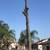 Affordable TREE SERVICE 4 thumbnail