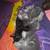 Kittens ready to go 1 thumbnail