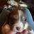 Akc standard Australian sheperds 7 thumbnail