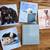 Lot of 5 Hardback Rachael Hale books cat dog kitten puppy book 2 thumbnail