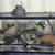 Front Opening Reptile Enclosures 2 thumbnail