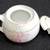 Antique Hand-Painted Fuchsia Condiment Container - Bavaria 3 thumbnail