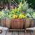 Wine Barrel 5 thumbnail
