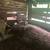 Feeder pigs 3 thumbnail