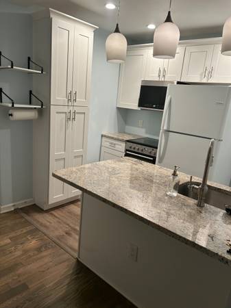 $1,500 / 2br - 900ft2 - Newly renovated 2BDRM House (Art Museum)64046037038851122