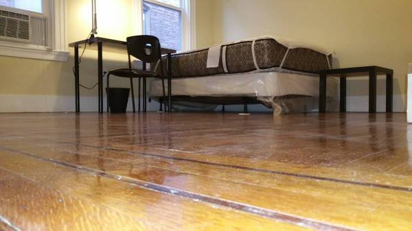 $975 / 1br - Servicios incluidos, sin tarifa, línea Orange, estacionamiento fácil o gratuito (Dorchester / Roxbury)63655319444737123
