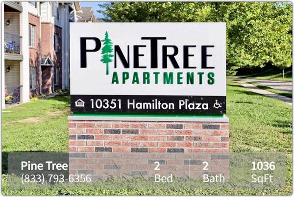 Fabulous 2 BR living space, in-unit washer/dryer. Call us today! 1