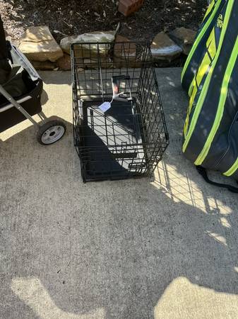 Dog Items 1