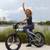 SAVE $600++ NEW -Folding E bike - all terrain  Dealer Closed 3 thumbnail